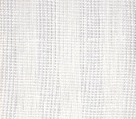 Striped Oyster – 0021