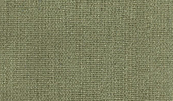 Grasshopper NC15 – 387