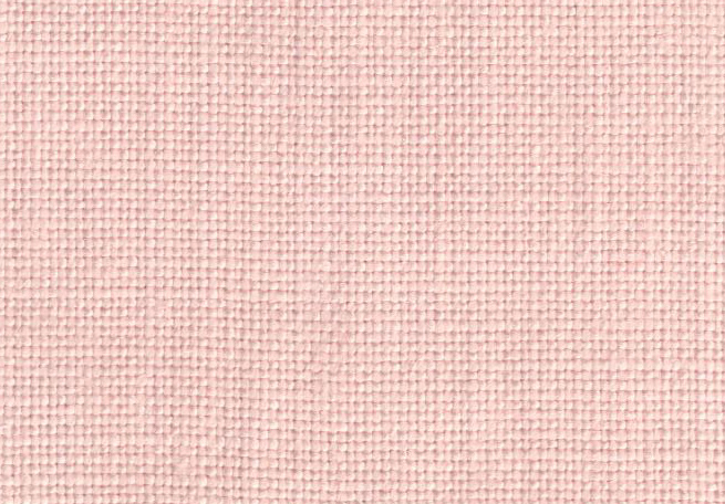 Baby Rose – 4036