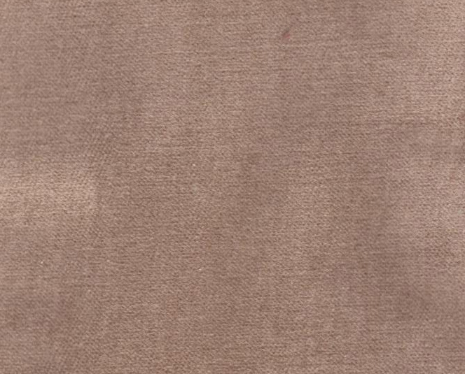 Camel – 818