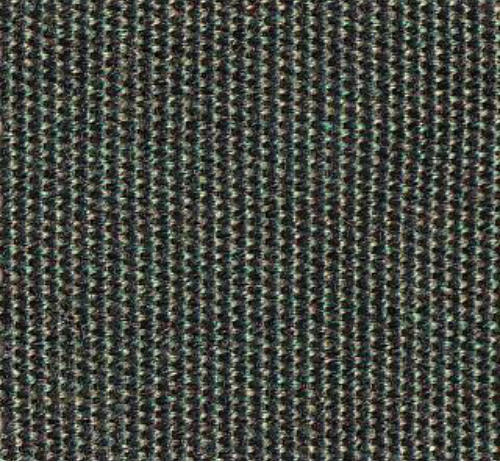 5487-0000 – Fern
