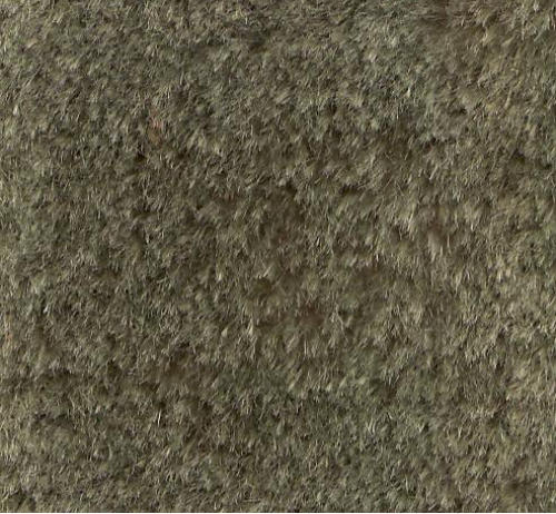 128 – Lichen