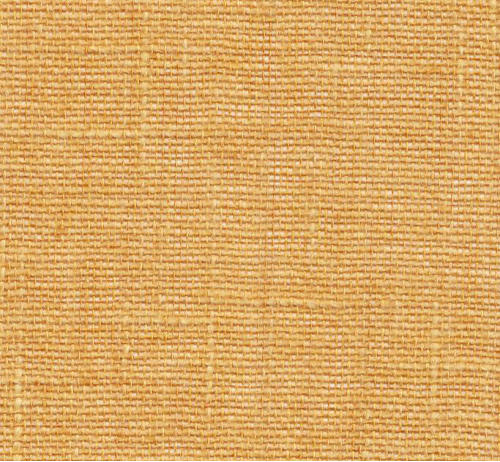 Lino 36