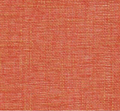 Lino 35