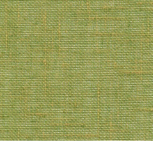 Lino 54