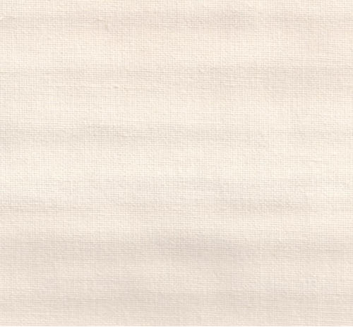 Canvas – Oyster 003